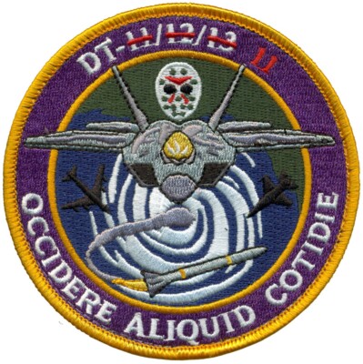 USAF 411th FLIGHT TEST SQUADRON   F-22 DEVELOPMENTAL TEST PHASE 11 PATCH