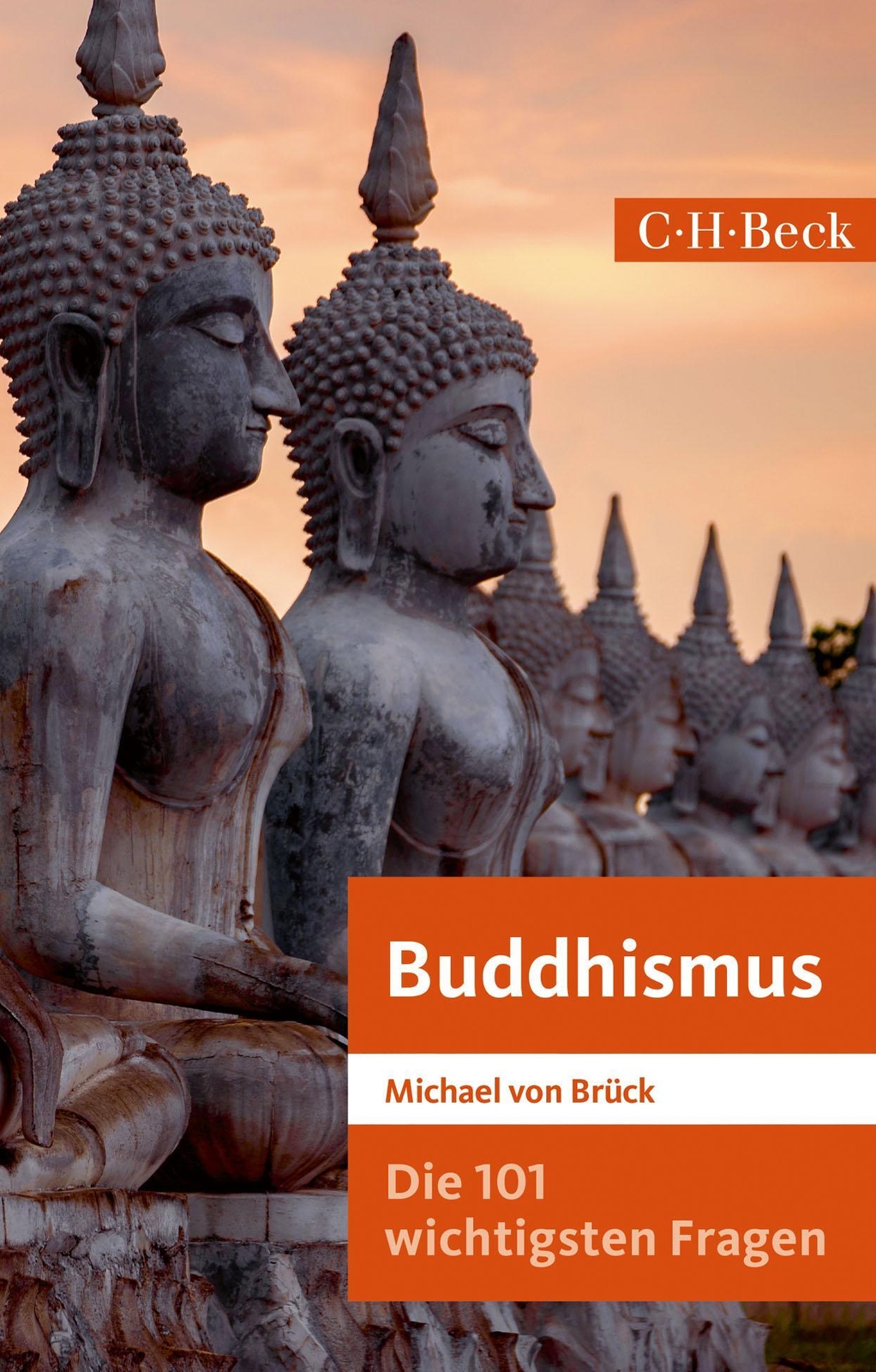 Thumbnail - Die 101 Wichtigsten Fragen: Buddhismus | Michael Von Brück |