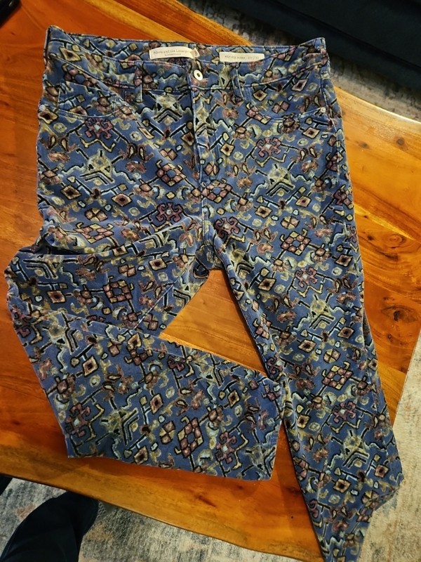 Anthropologie Pilcro & Letterpress Womens Mid Rise Skinny pants Blue Floral 33