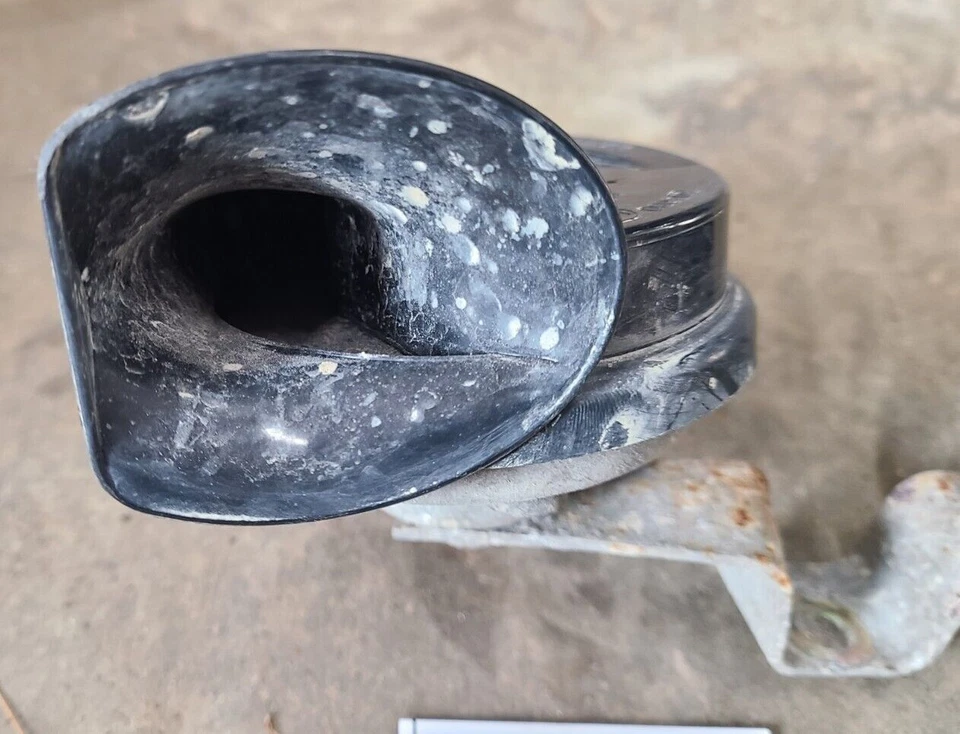 Par de bocinas de nota alta y baja OEM BMW X5 2000-2006 2001 2002 2003 2004 2005 Foto 3 de 4