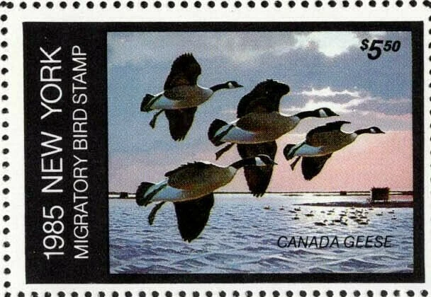 1985 NY1 — New York First of State Duck Stamp - Image 2 of 2