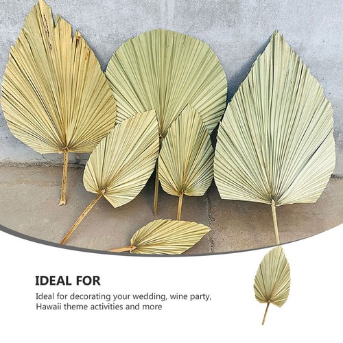 Dried Palm Fans Woven Fan Bridal Bouquet Handheld Cooling Fan - Picture 8 of 21