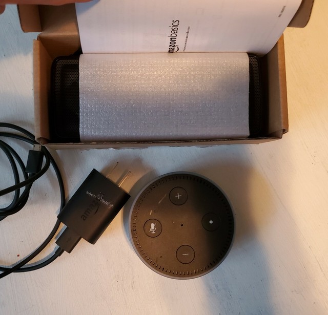 ebay echo dot