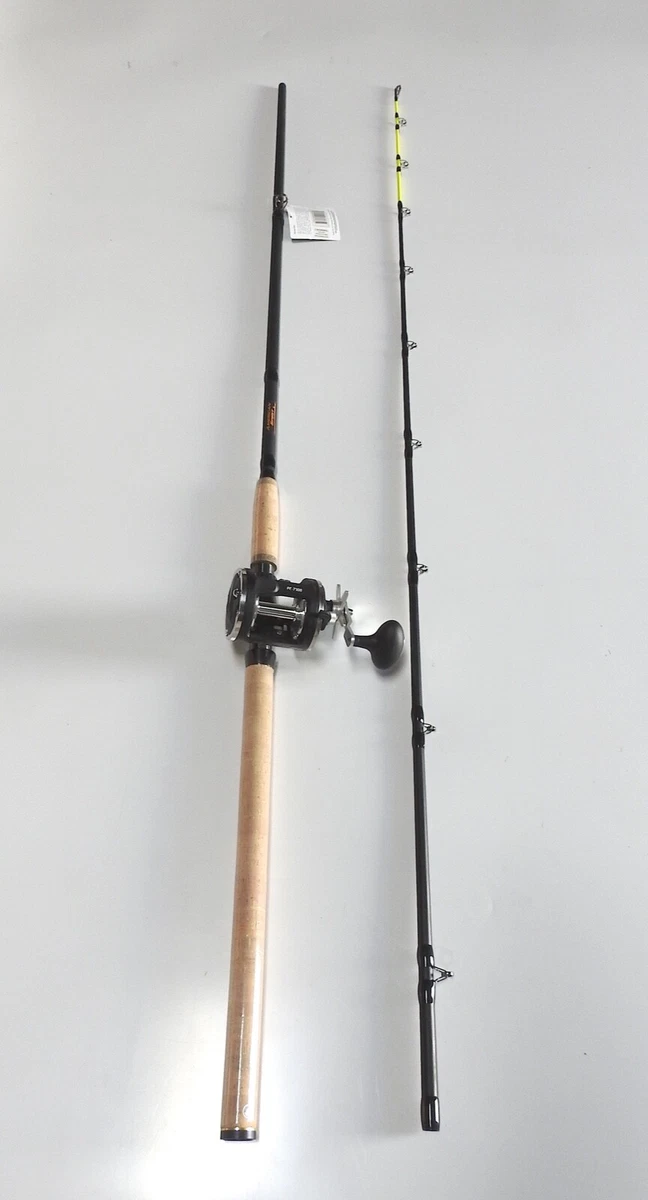 atlantic bonito fishing lures Speedy Gamefish: Targeting Both Albies and Bonito