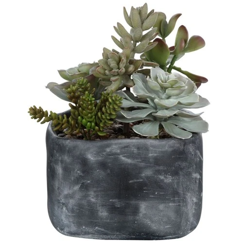 Alverio  - 10 inch Desert Garden Succulents Accessories Uttermost 60173 - Picture 4 of 8