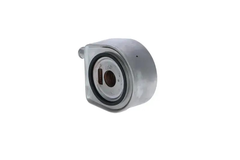 Engine oil cooler Water-cooled 31769 NRF for RENAULT OPEL