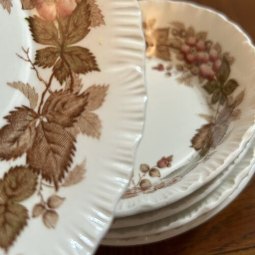 (6) Wedgwood Barlaston Wildbriar zuppa dessert ciotole 5,25" x 1,25" bordo floreale vintage - Foto 14 di 16