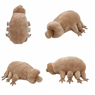 Tardigrade Water Bear Plush Toy 25Cm Original Soft Strongest Sea
