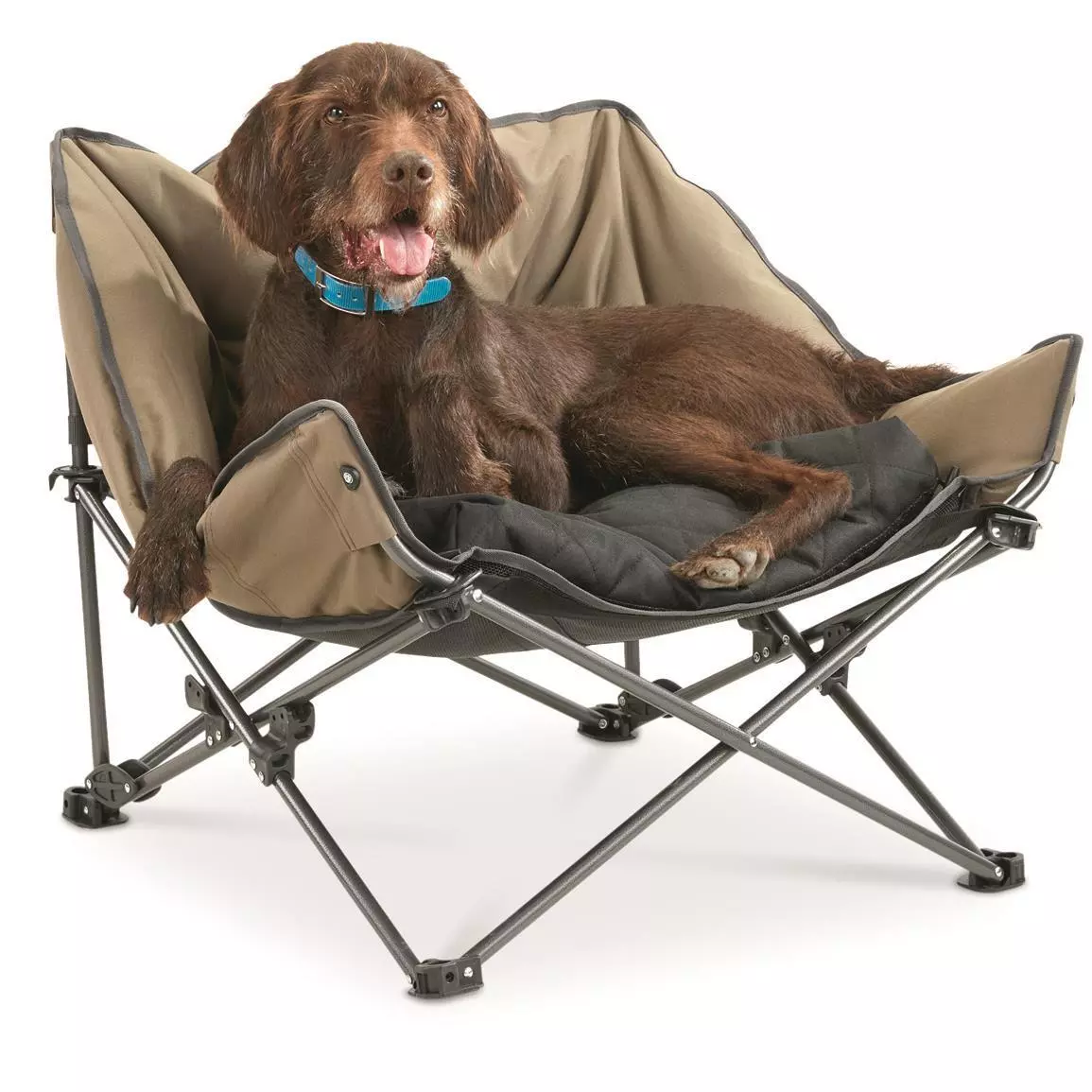 New Elevated Guide Gear Padded Portable Dog Bed 180 lb Capacity