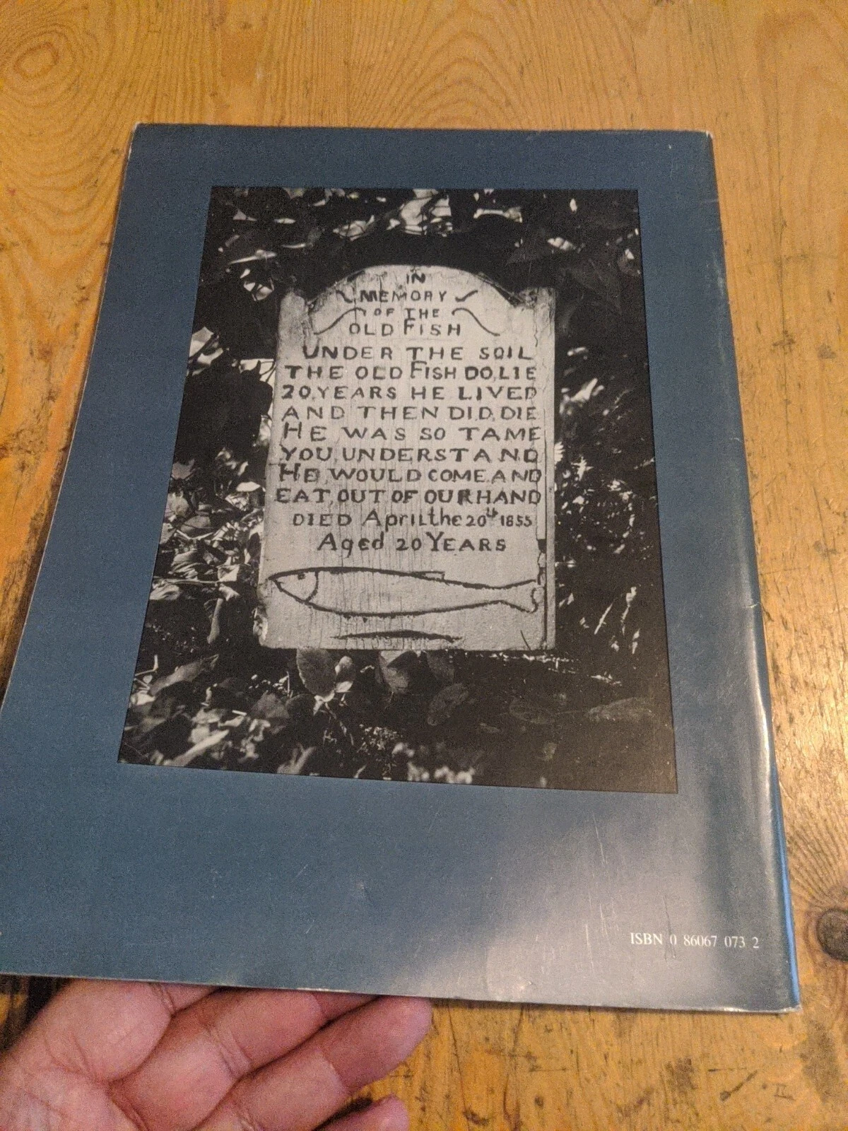 Picture 2 of 21
