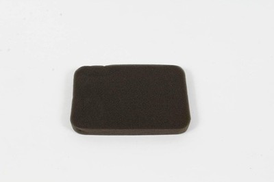 Generac Genuine OEM Replacement Air Filter - 0J58620212
