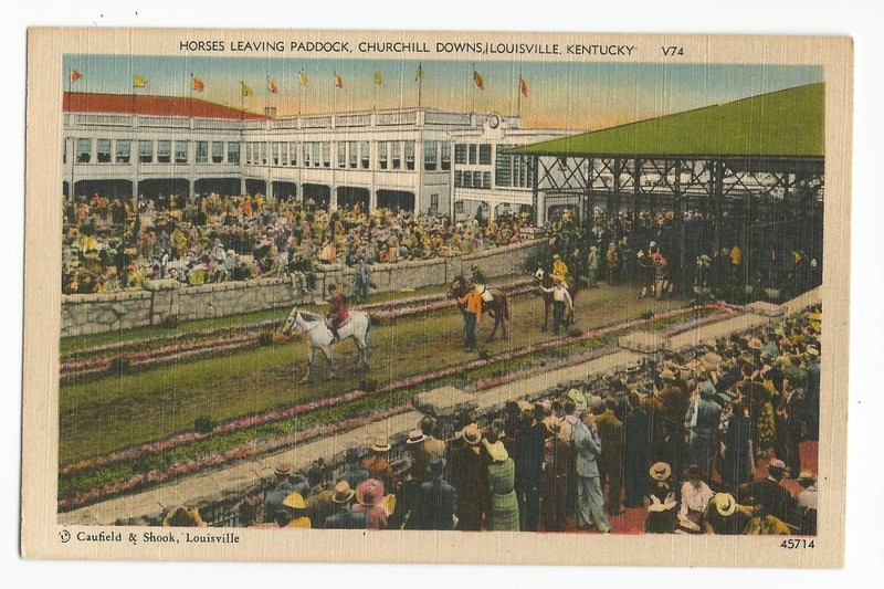 Linen Postcard: Churchill Downs, Louisville, Kentucky - horses leaving paddock