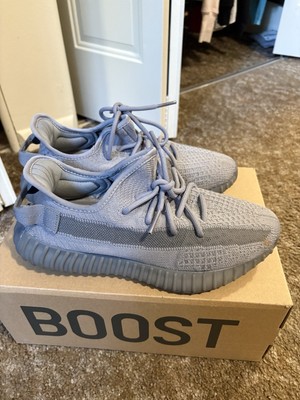 Adidas Yeezy Boost 350 V2