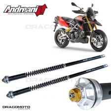 APRILIA Dorsoduro 1200 2012-2019 Patrone ANDREANI 105/A04E MISANO EVO