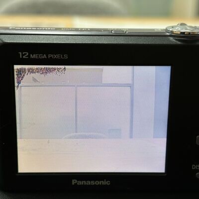 Panasonic LUMIX DMC-FP1 12.1 MP Digital Camera - Pink for