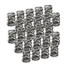 Supertech SPR-H1005D-24 Dual Valve Spring Set for BMW M50/M52/S50/S52