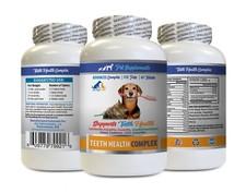 dog teeth cleaning - DOG AND CAT TEETH HEALTH - vitamin d for dogs 1B