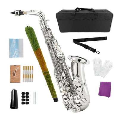#ad Alto Saxophone Eb kit Silvery Eb Alto Sax Complete Set $225.00