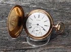 1899 Waltham 20yrs GF Stag Deer Hunt Case Pocket Watch 6s 15j Gr: Seaside Runs