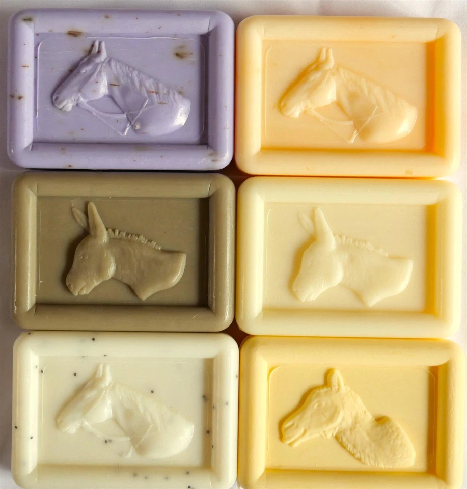 Ovis Stutenmilchseife Eselmilchseife Kamelmilchseife Naturprodukte 100g Seife