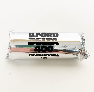 1 Mittelformat Rollfilm Ilford Delta ISO 400 Professional 120 s/w Exp 2.2014