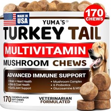 Turkey Tail Mushroom for Dogs Lipoma Lumps and Bumps Immune Health Multivitamin