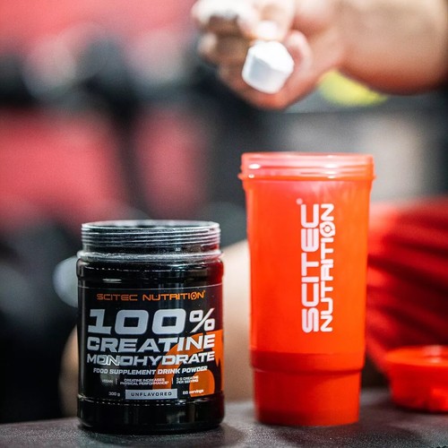 Protein 100% Whey 920gr Schokolade Scitec Nutrition +Creatin 300g +Handtrainer - Bild 8 von 13