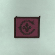 1980 's - Boy Scout Badge - Cornwell Award / Medal - Unused