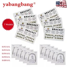 USA Dental Orthodontics Brackets Braces /Supper Elastic Niti Round Arch Wires po