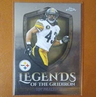 2025 Topps Chrome Troy Polamalu Base (RAW)