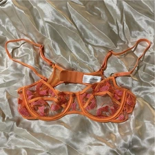 Honey Birdette Gabrielle Mango Neon Orange Lace Unlined Mesh Sheer Bra 32B