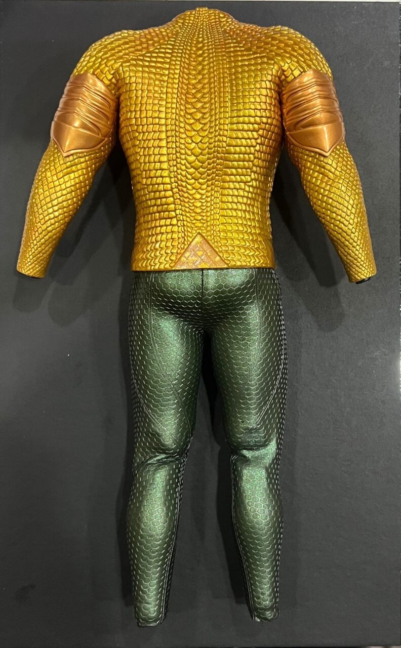 HOT TOYS MMS518 AQUAMAN BODY (Accessories) eBay