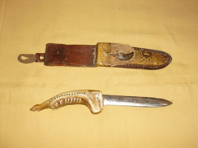 Picture 5 of 11