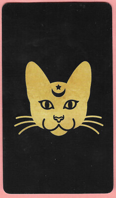 Cat Tarot Card, Nine of Swords, Minor Arcana, detailed, single