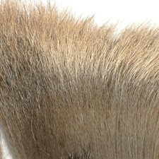 Elk Hair - Quality Fly Tying Product