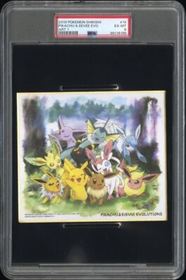 PIKACHU EEVEE CAMPAIGN ART 2019 POKEMON SHIKISHI #14 GRADED PSA 6 EX-MT PM-TPHLC