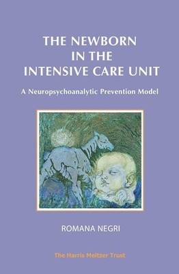 The Newborn in the Intensive Care Unit: A Neuropsychoanalytic Prevention Model b