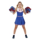 Cheerleader Adult Costume Outfit