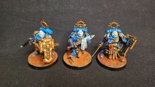 Ultramarines  Bladeguard Veterans  Painted  Ready for Battle