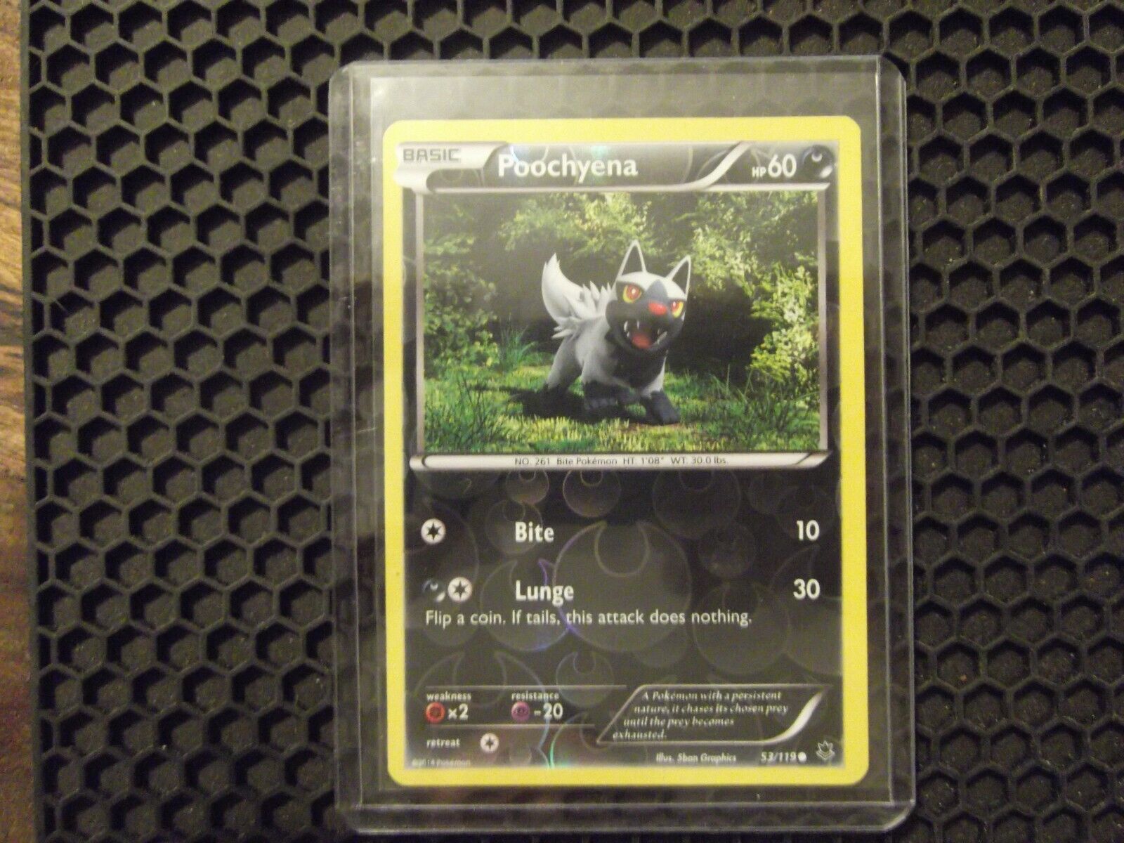 Pokemon Card TCG Poochyena 53/119 Reverse Holo Rare Phantom Forces 2014 LP