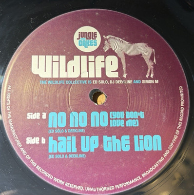 THE WILDLIFE COLLECTIVE * NO NO NO (YOU DON'T LOVE ME) 12''  JC 002 PLAYS GREAT