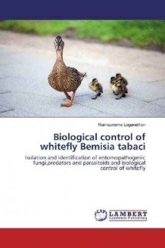 Thumbnail - Biological Control Of Whitefly Bemisia Tabaci Isolation And