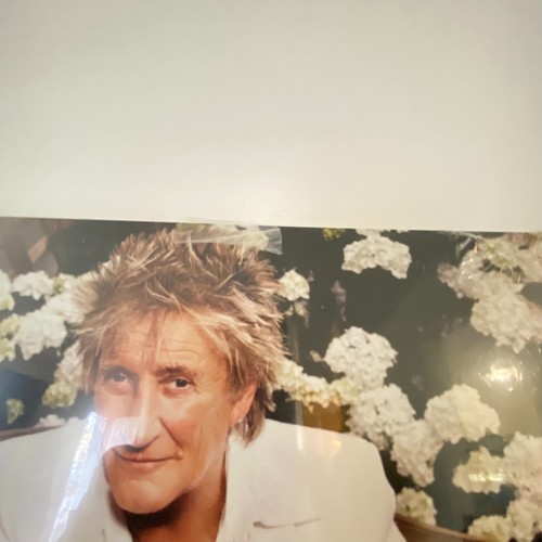 Rod Stewart - Blood Red Roses - Decca Records - 2X Vinyl LP Album 2018 - Picture 5 of 7