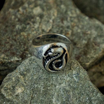Aesthetic Malfoys Ring Snake Ring Harry Malfoy Crest Ring Snake