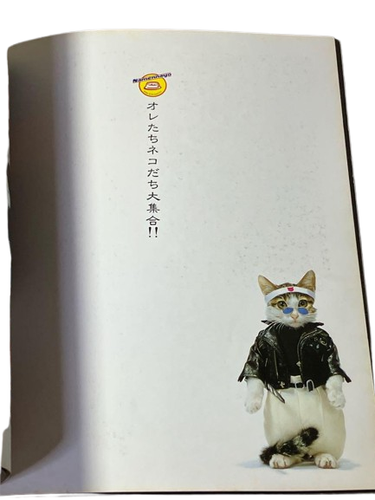 Namennayo Photo Book Nameneko Perlorian Cats Satoru Tsuda 1981 Used From Japan - Picture 4 of 5