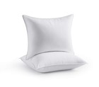 Bed Pillow Standard Size Set of 2, Shams Insert 20 x 26 inch, Down Alternativ.