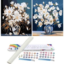 2 Pack Paint by Numbers Kit for Adults Beginners, Color by Numbers for Adults...
