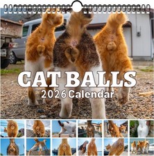 Cat Balls Calendar 2026 Funny 2026 Wall 11" W x7.8 " H, Varicolored