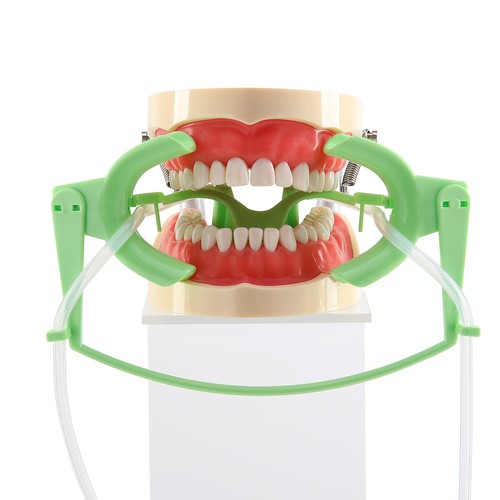Dental Orthodontic Nola Retractor Dry Field System Lip Cheek Tongue Opener Large - Picture 28 of 30
