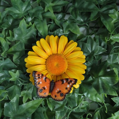 Vivid Arts - gelbes Gänseblümchen zum Aufhängen mit Schmetterling - Gartendeko